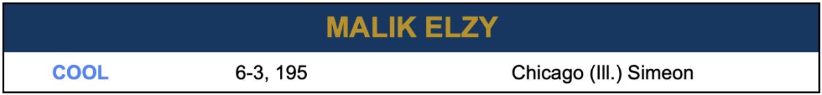 Malik Elzy Hot Board